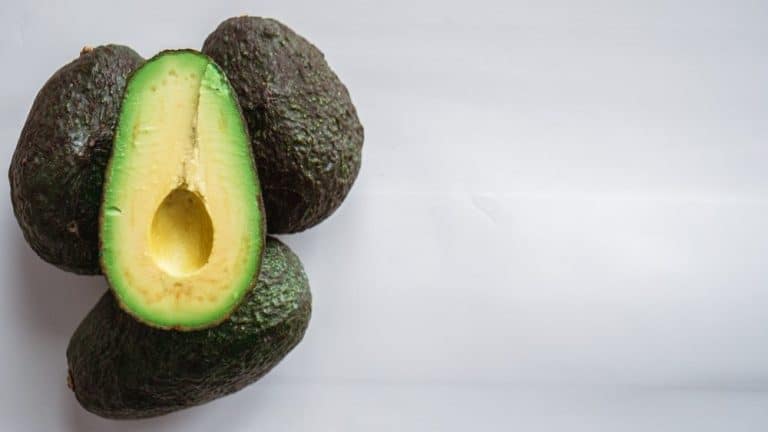 Saako koira syödä avokadoa?