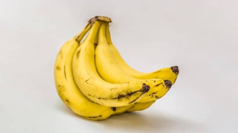 Saako koira syödä banaania?