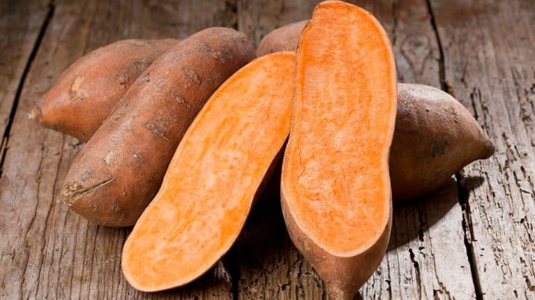 Saako koira syödä bataattia?